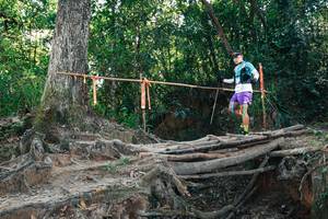 BIB: 
                            <button type="button" onclick="openModal(27752388)" class="btn btn-primary btn-sm float-right btn-popup" data-toggle="modal" data-target=".modal-high-quality">
                        <i class="fas fa-shopping-cart"></i> Add to Cart
                    </button>
                                            <button type="button" onclick="isThisMe(27752388, true)" class="btn btn-success btn-sm float-right btn-popup btn-isme hidden" data-toggle="tooltip" data-placement="bottom" title="นี่คือรูปของคุณใช่ไหม คลิกที่นี่เพื่อเอาเข้าอัลบั้ม">
                        <i class="fas fa-plus"></i> Add to album
                    </button>
                    <button type="button" onclick="isThisMe(27752388, false)" class="btn btn-warning btn-sm float-right btn-popup btn-isnotme hidden">
                        <i class="fas fa-ban"></i> Remove from album
                    </button>